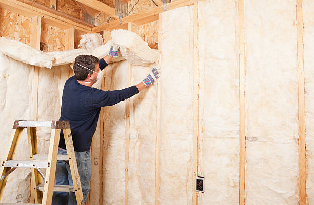 Best Spray Foam Insulation  in Cool Valley, MO